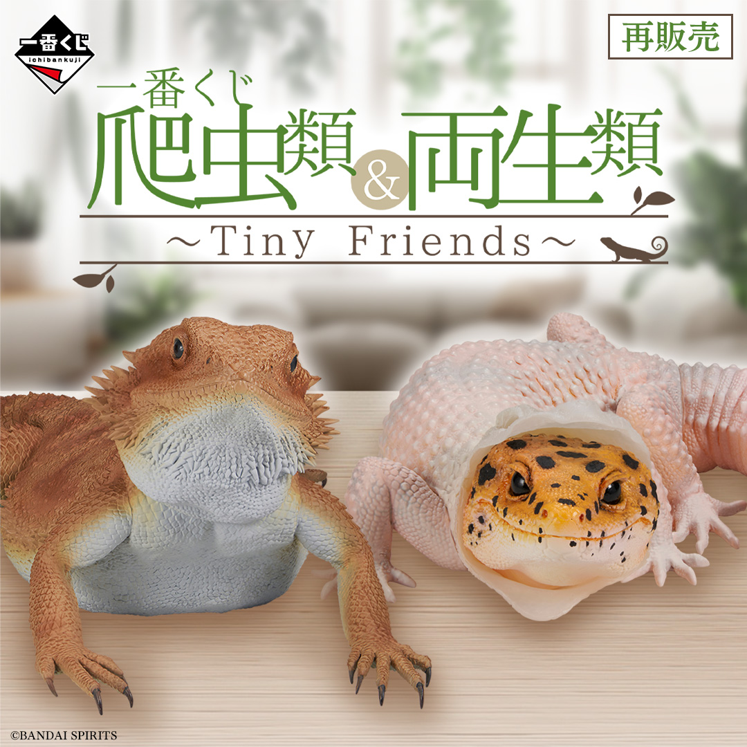 一番くじ 爬虫類＆両生類～Tiny Friends～